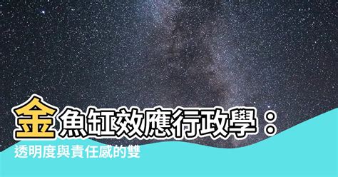 金魚缸效應行政學|公共行政新趨勢：金魚缸效應